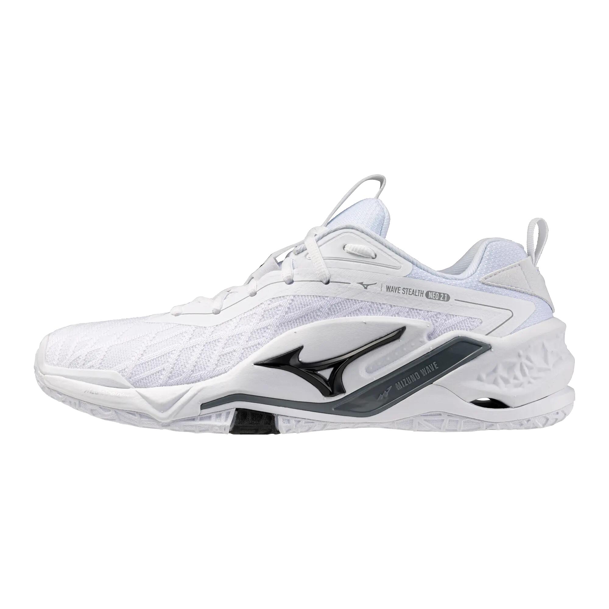 MIZUNO picture