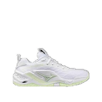 Chaussures de handball Mizuno Wave Stealth Neo 2.1 Femme Blanc/Aqua Gris