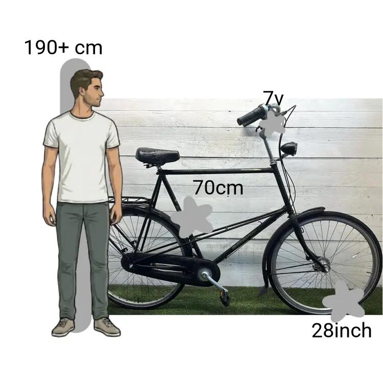 Bicicleta usada Batavus Stabilo XXXL FRAME 2/4