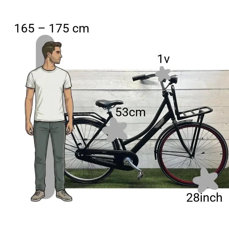 Tweedehands Mobion Transportfiets 2/4