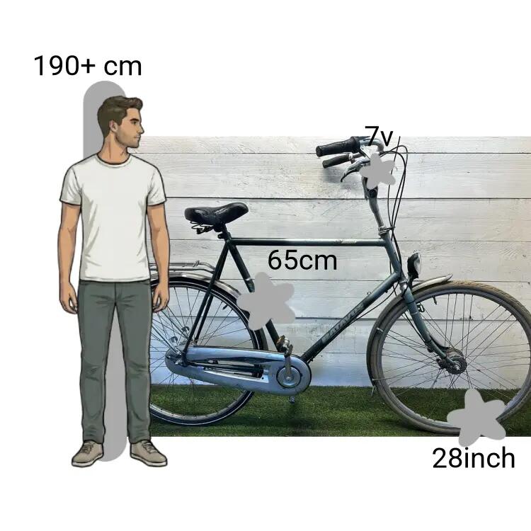 Bicicletta usata Batavus Verona 2/4