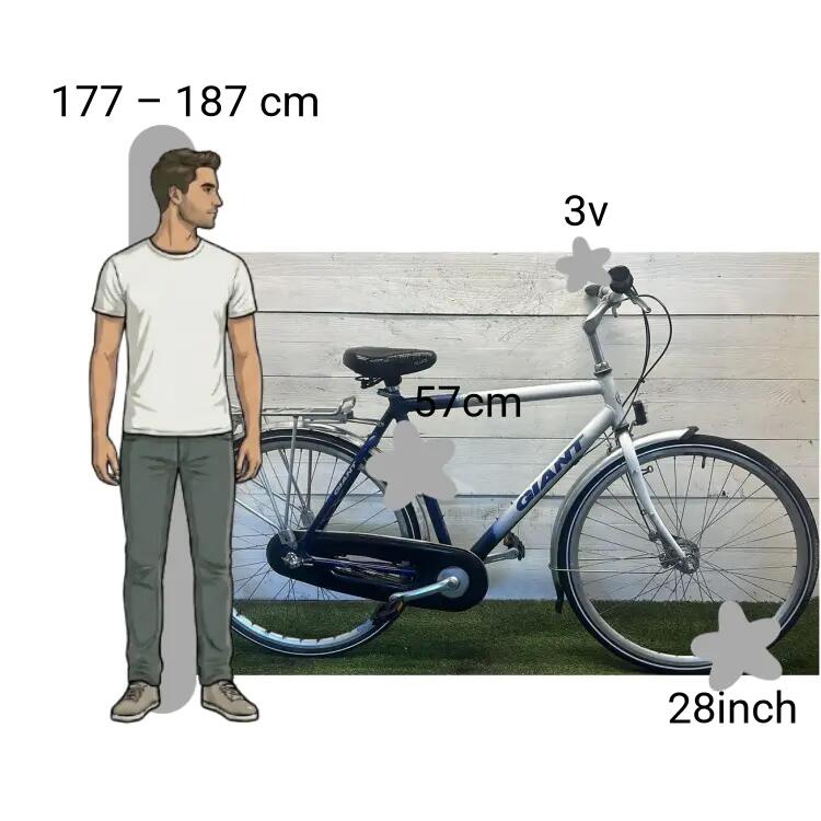 Gebraucht Giant Tourer 2/4