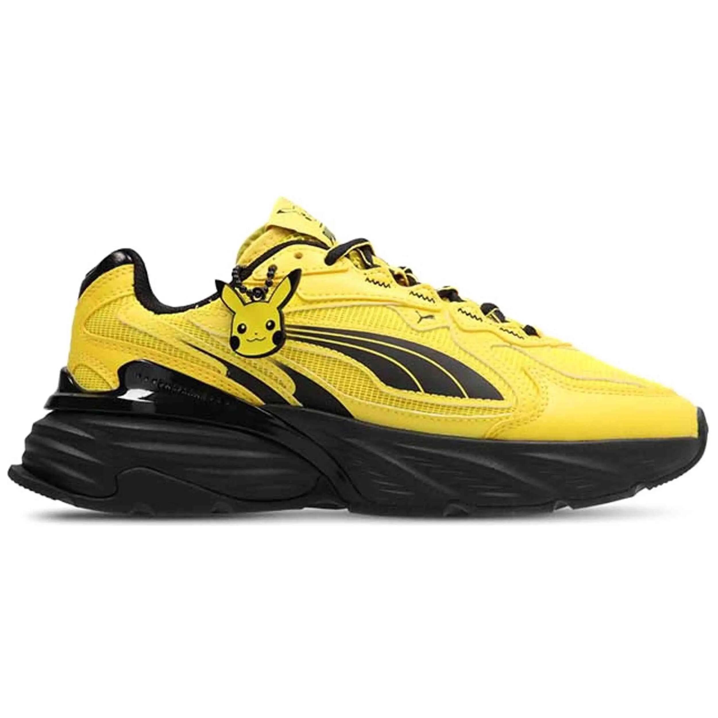 PUMA picture