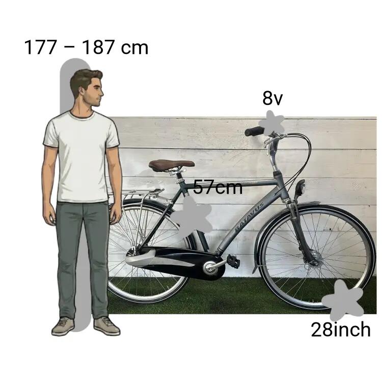 Gebraucht Batavus Staccato 2/4