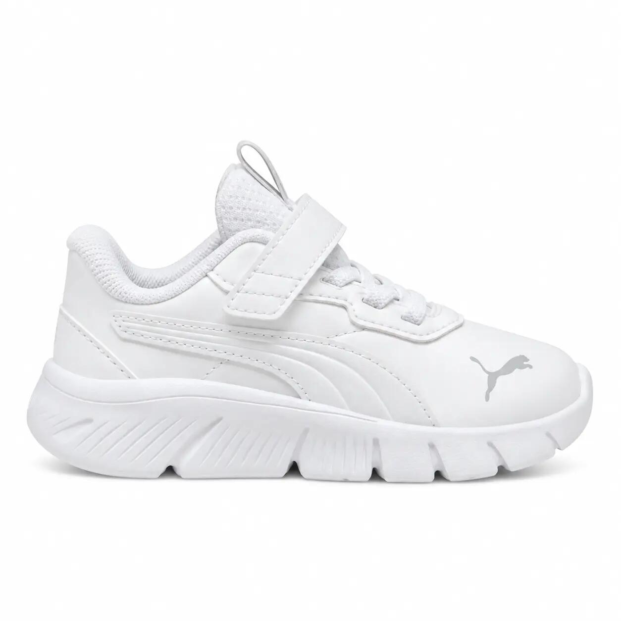 PUMA picture