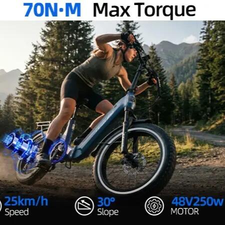 TTGO F7 E-Bike urbain moteur 250W autonomie 120km batterie 48V15Ah 5/7
