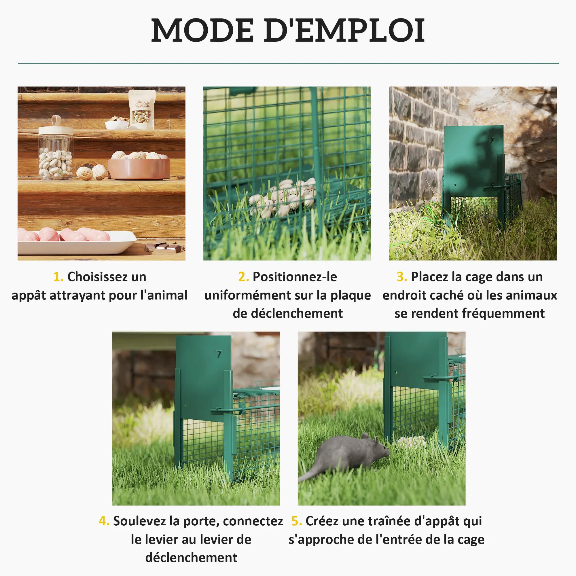 Cage attrape animaux nuisibles 1 entrée dim. 60 x 18 x 20 cm vert foncé 7/9