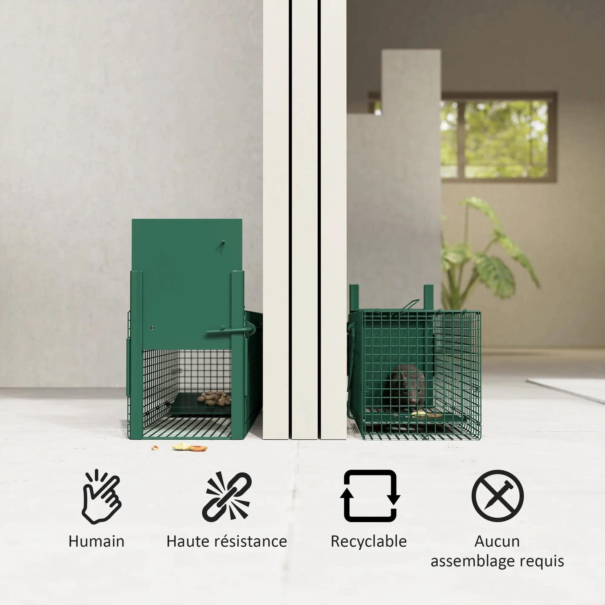 Cage attrape animaux nuisibles 1 entrée dim. 60 x 18 x 20 cm vert foncé 6/9
