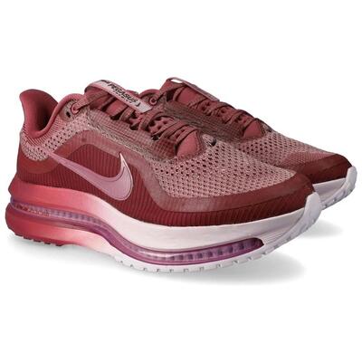 Schoen nike model pegasus premium voor vrouwen