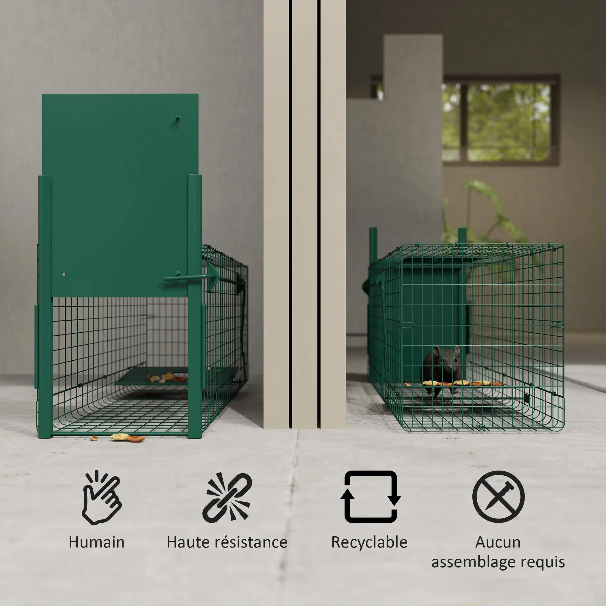Cage attrape animaux nuisibles 1 entrée dim. 100L x 25l x 28H cm vert foncé 7/9