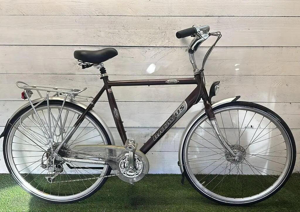 BATAVUS picture