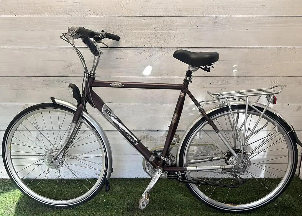 Gebraucht Batavus Kayenta 4/4