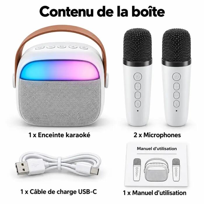 Enceinte Bluetooth Karaoké avec 2 micros 6/7