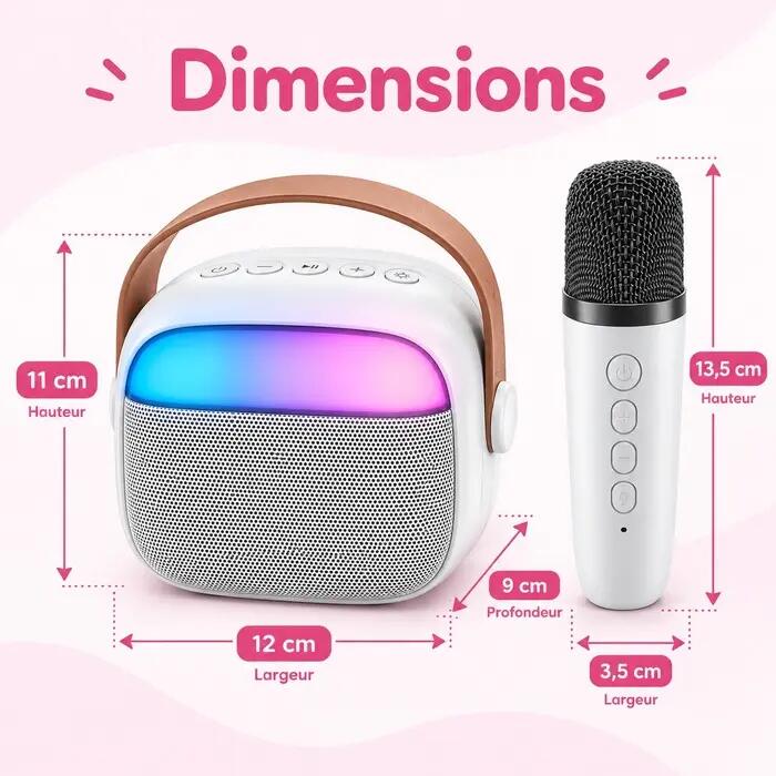Enceinte Bluetooth Karaoké avec 2 micros 5/7