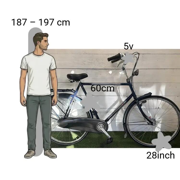 Bicicletta usata Gazelle Impala 2/4