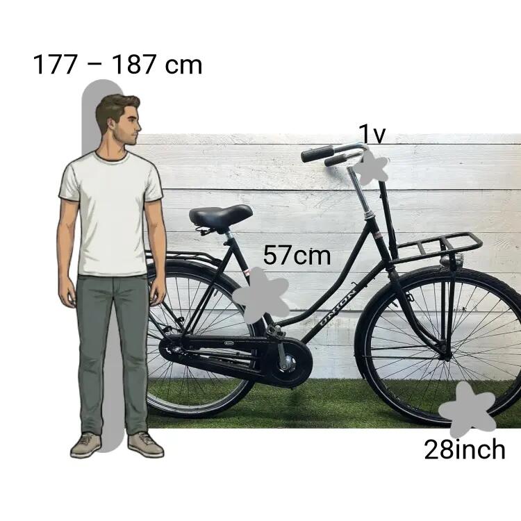 Bicicletta usata Union Transportfiets 2/4