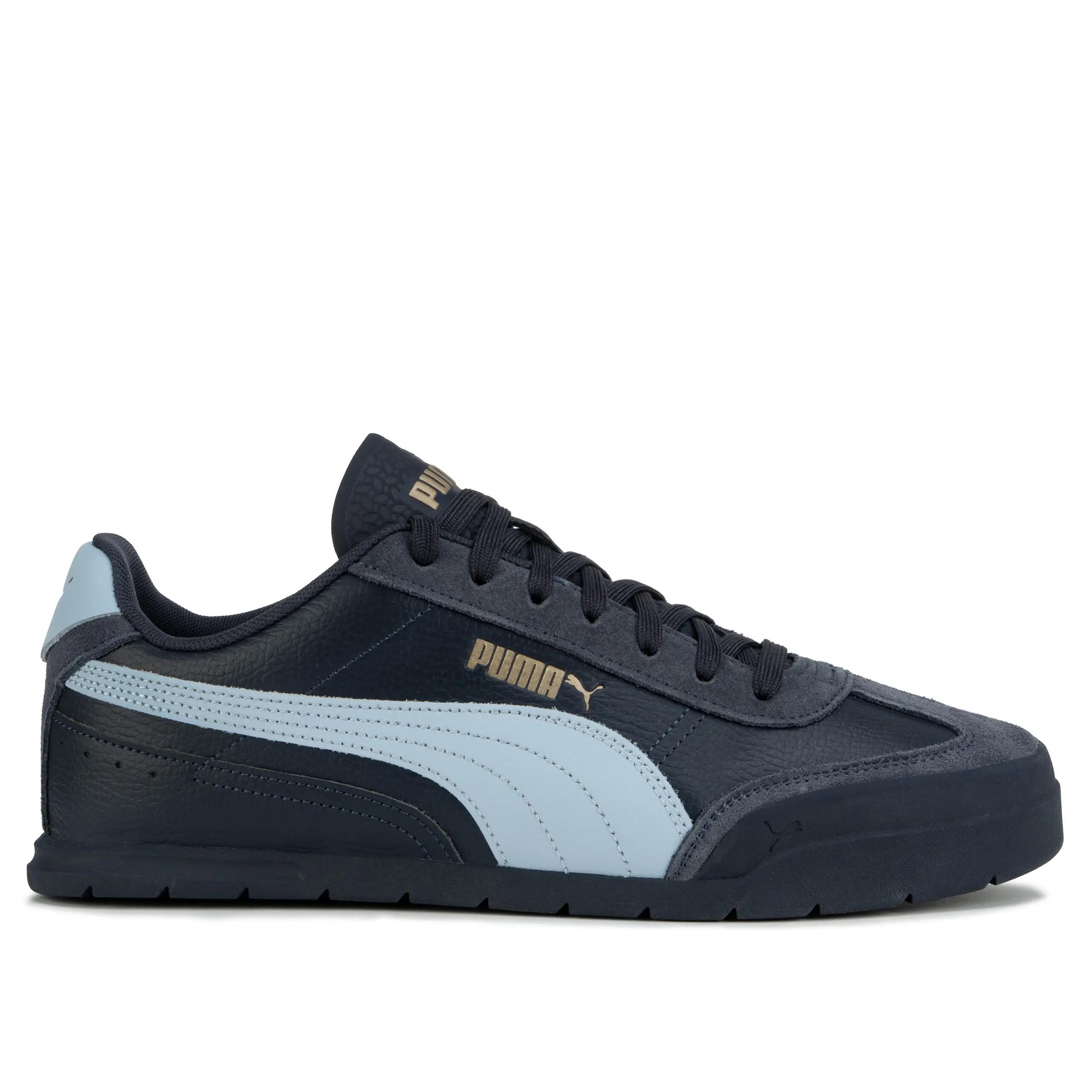 PUMA picture