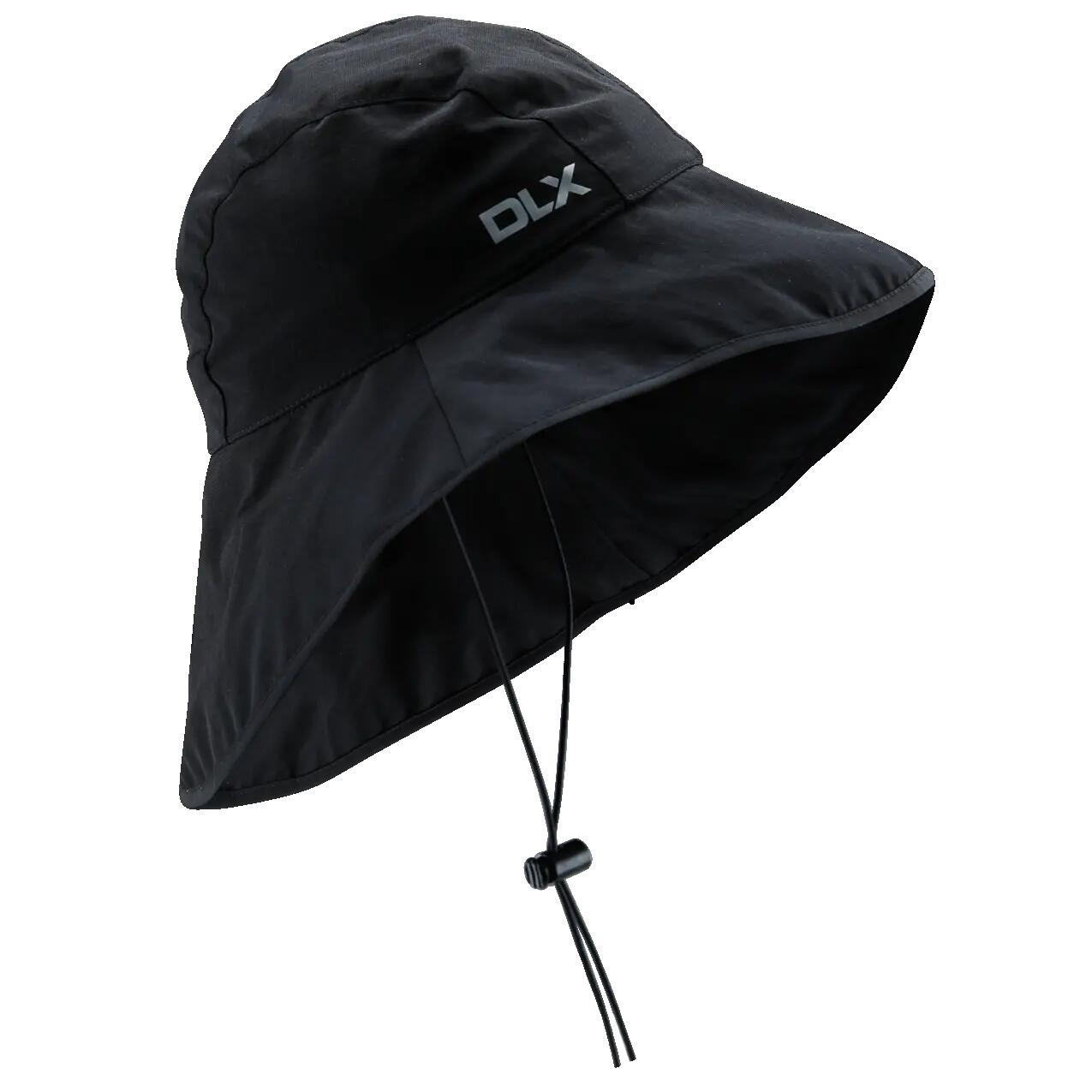 DLX picture