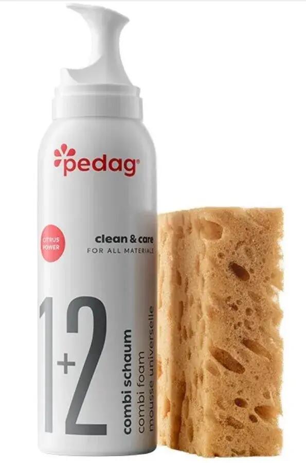 PEDAG picture
