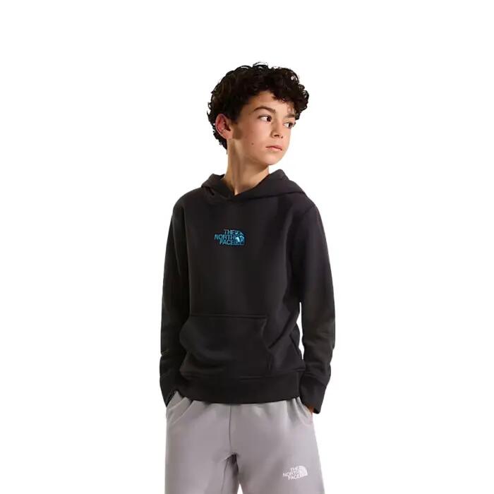 Pull The North Face Liquid Logo garçon 140 1/4