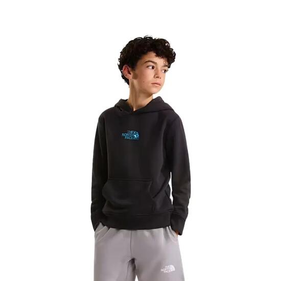 Pull The North Face Liquid Logo garçon 140