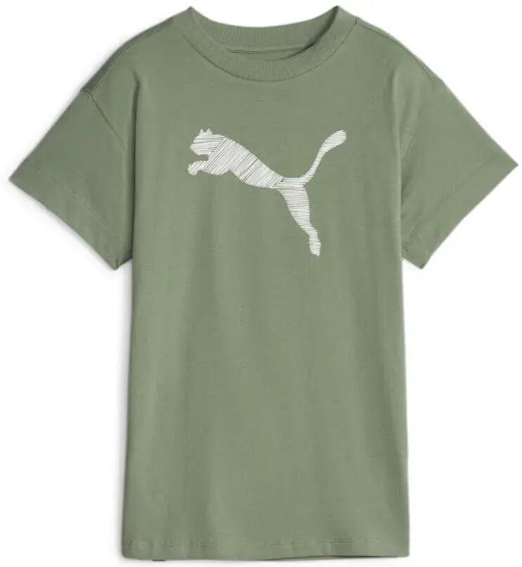 PUMA picture