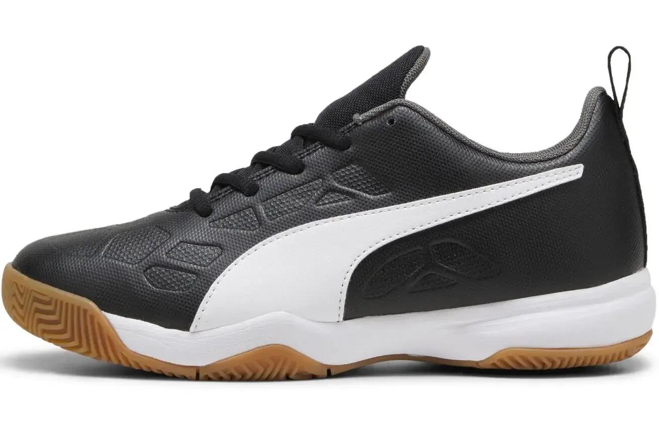 PUMA picture