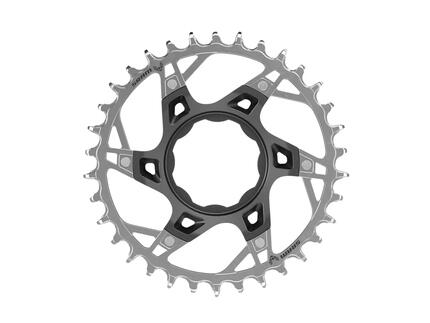 Sram Kettenblatt Xx T-Typ Tq E-MTB Silber