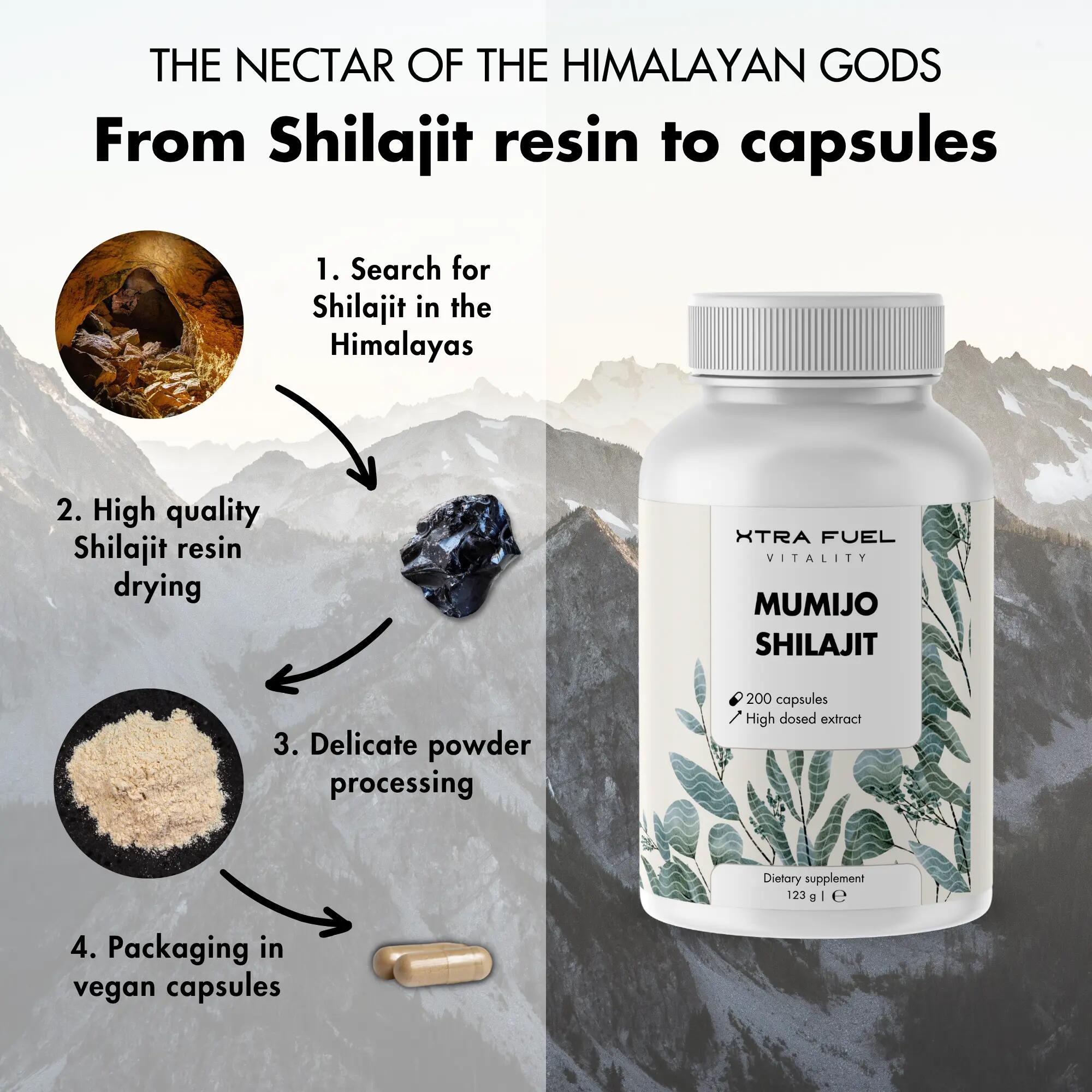 Shilajit Mumijo Capsules – Fulvic & Humic Acids – 200 capsules | Decathlon