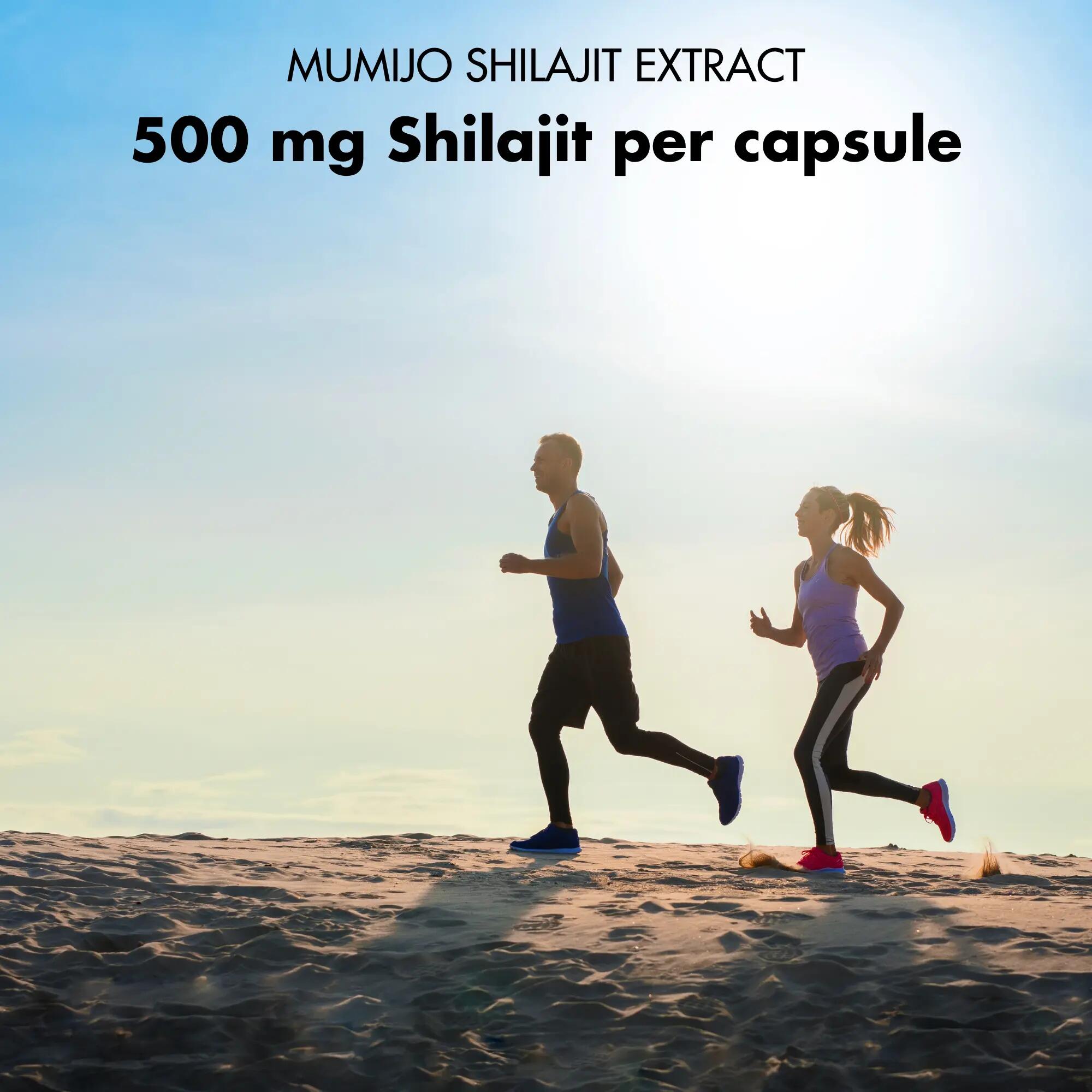 Shilajit Mumijo Capsules – Fulvic & Humic Acids – 200 capsules | Decathlon