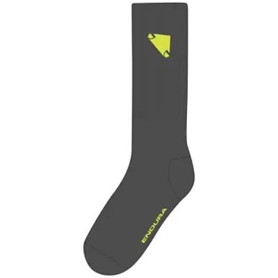 ENDURA picture