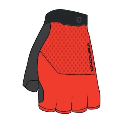ENDURA picture