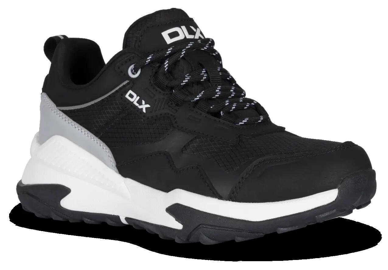 DLX picture