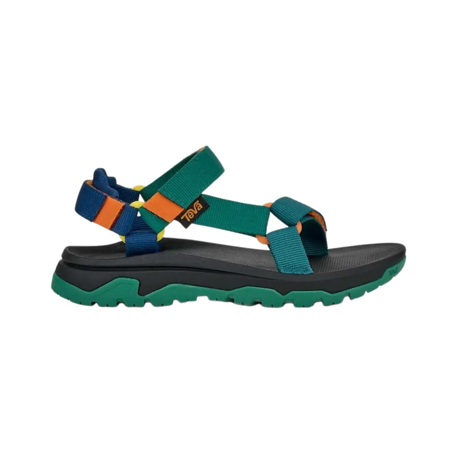 TEVA picture
