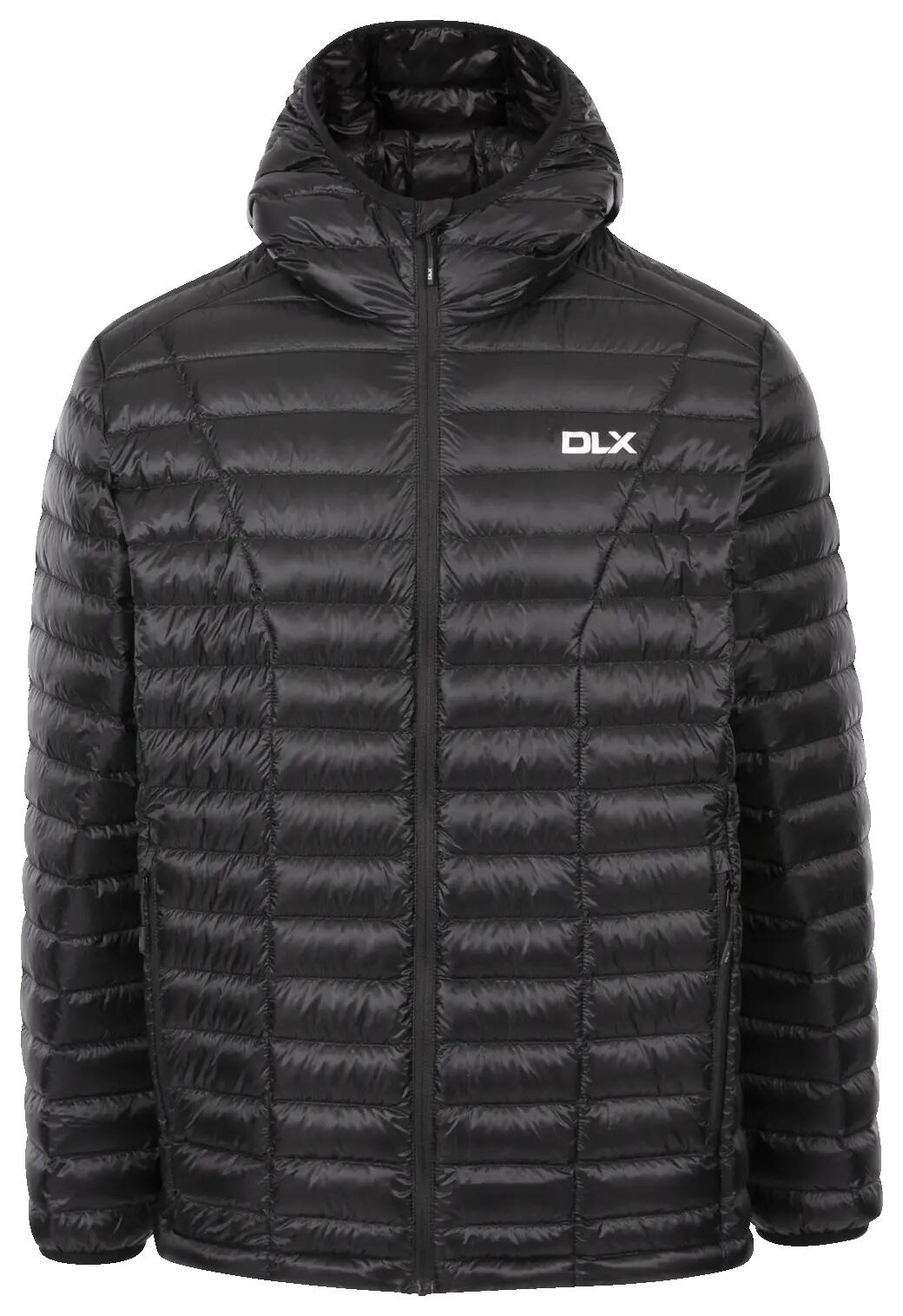 DLX picture