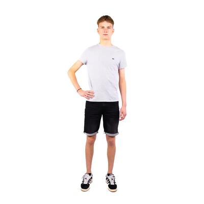 Lacoste casual t-shirt heren 2xl