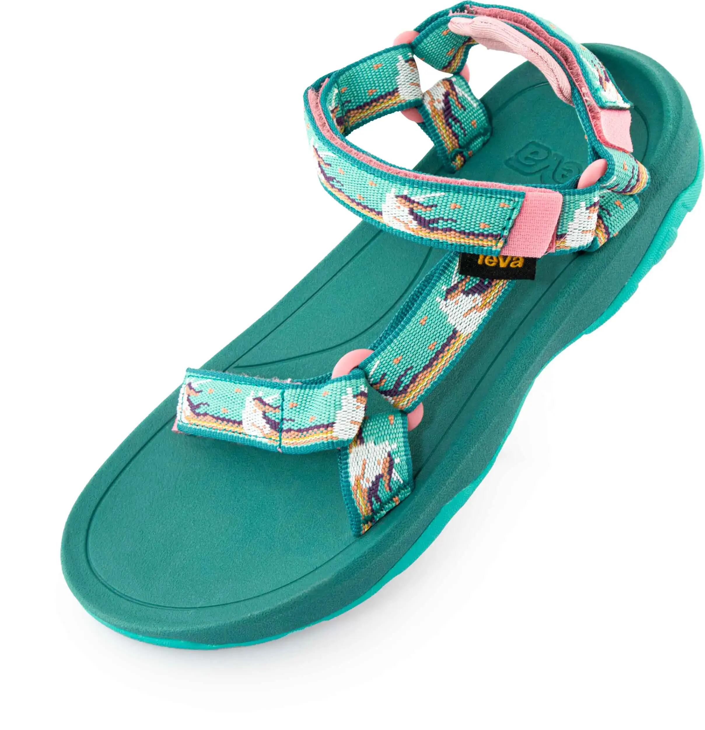 TEVA picture
