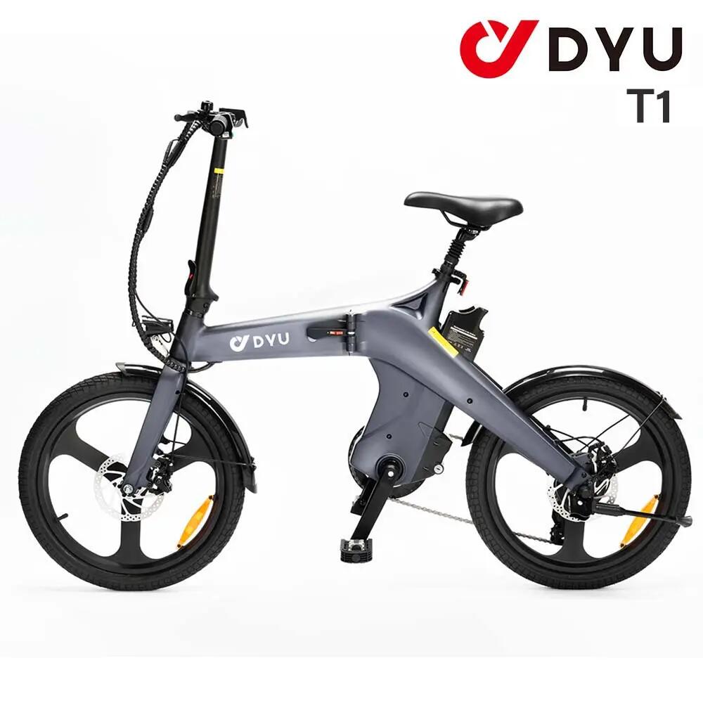 DYU picture