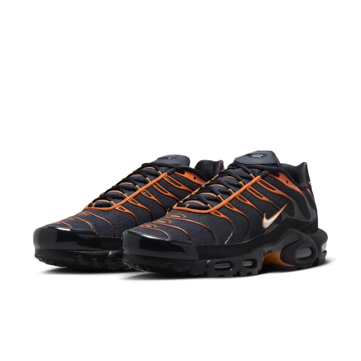 Chaussures Nike Air Max Plus 5/6