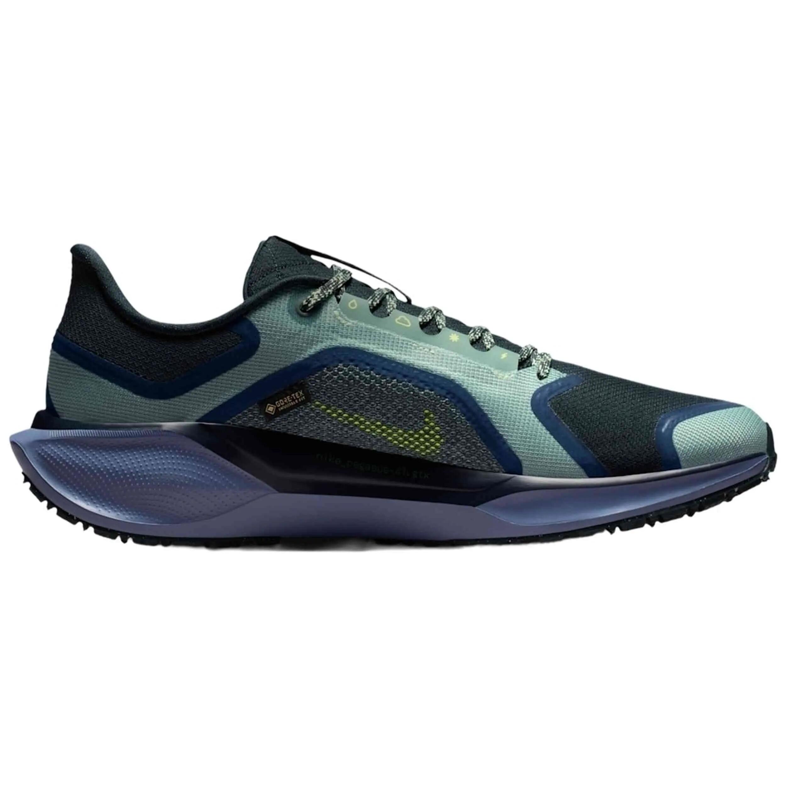 Hardloopschoenen Nike model Pegasus 41 GORE-TEX "Cannon/Obsidian/Sea voor mannen 2/5