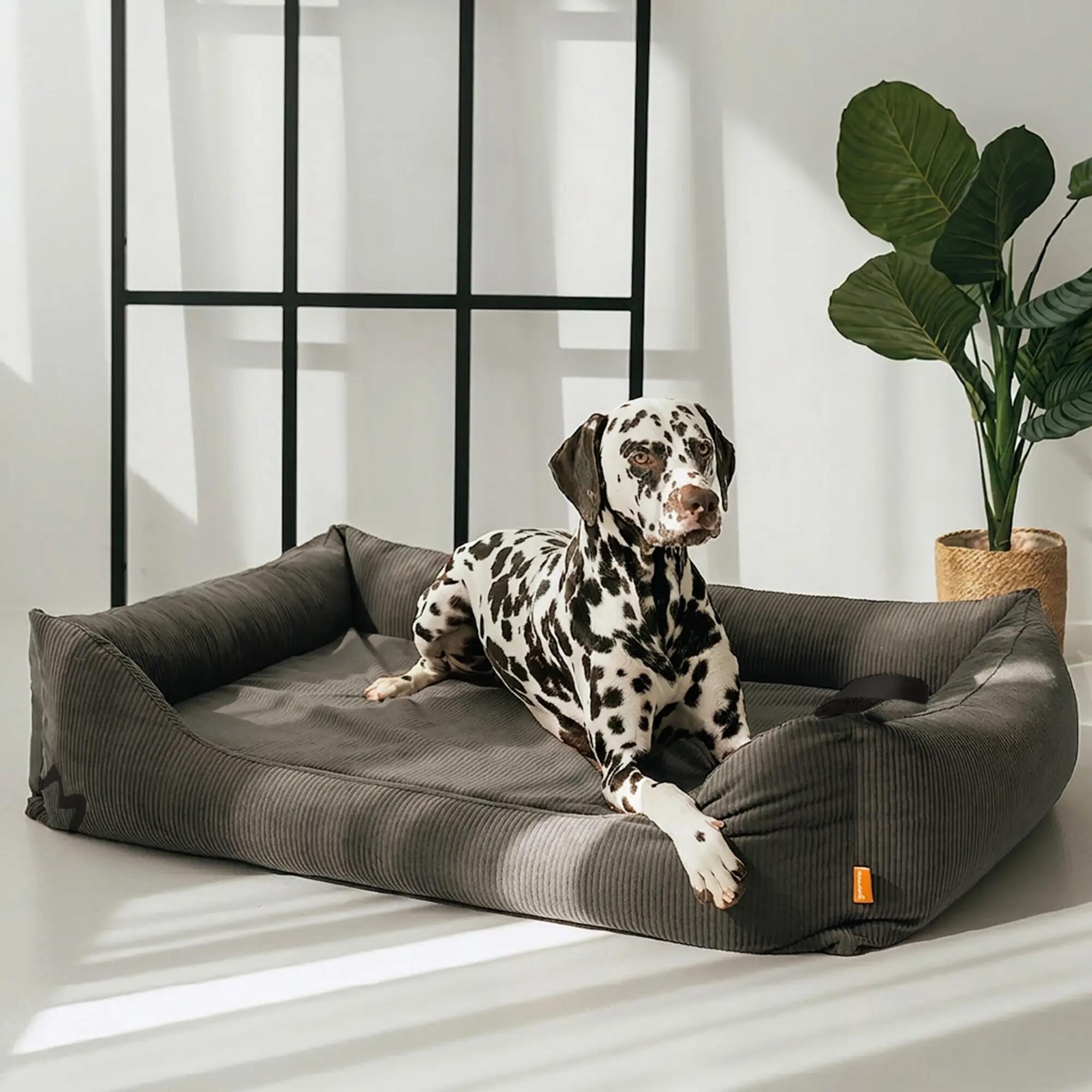 Letto Ortopedico per Cani – Memory Foam, Robusto e Sfoderabile 2/8