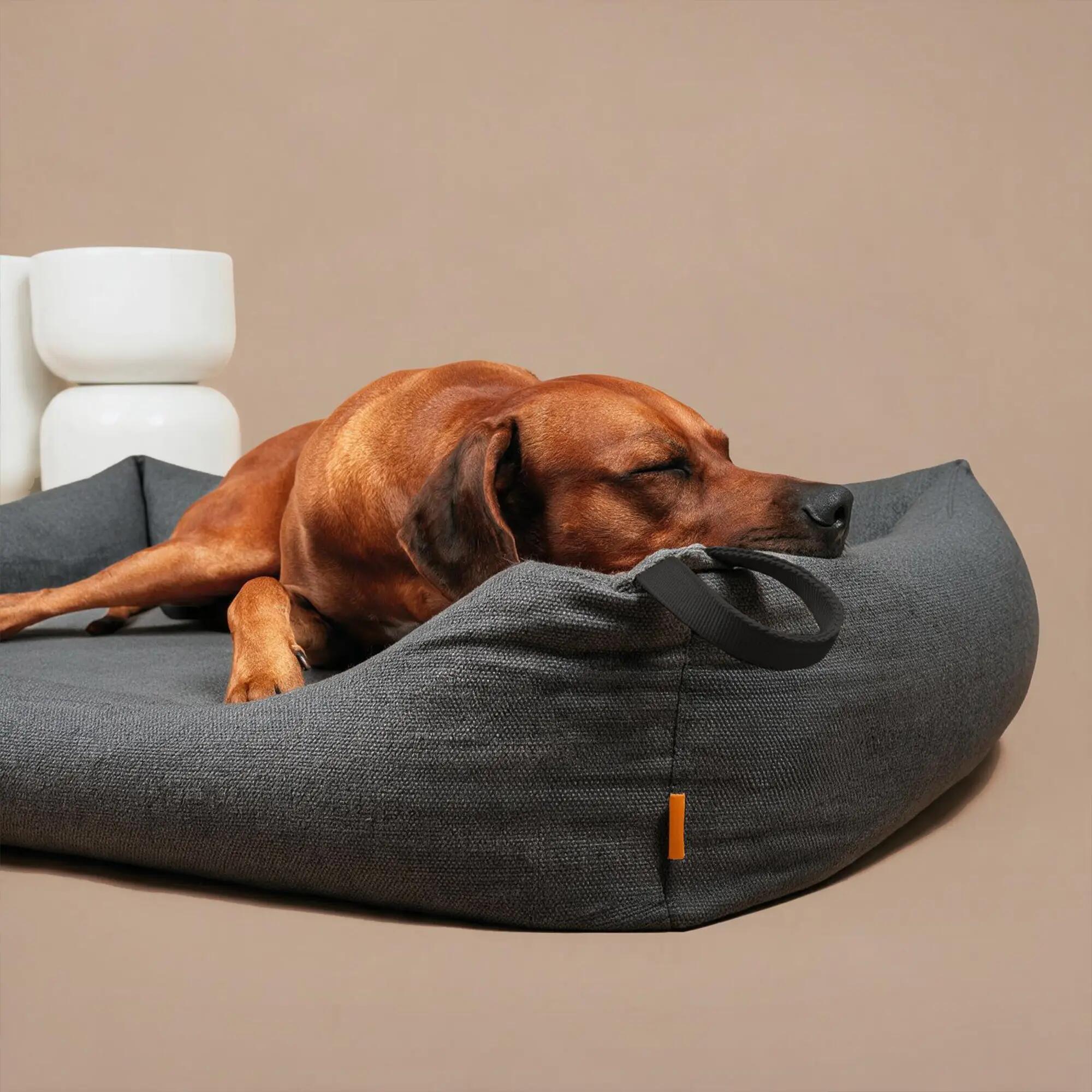 Letto Ortopedico per Cani – Memory Foam, Robusto e Sfoderabile 7/8