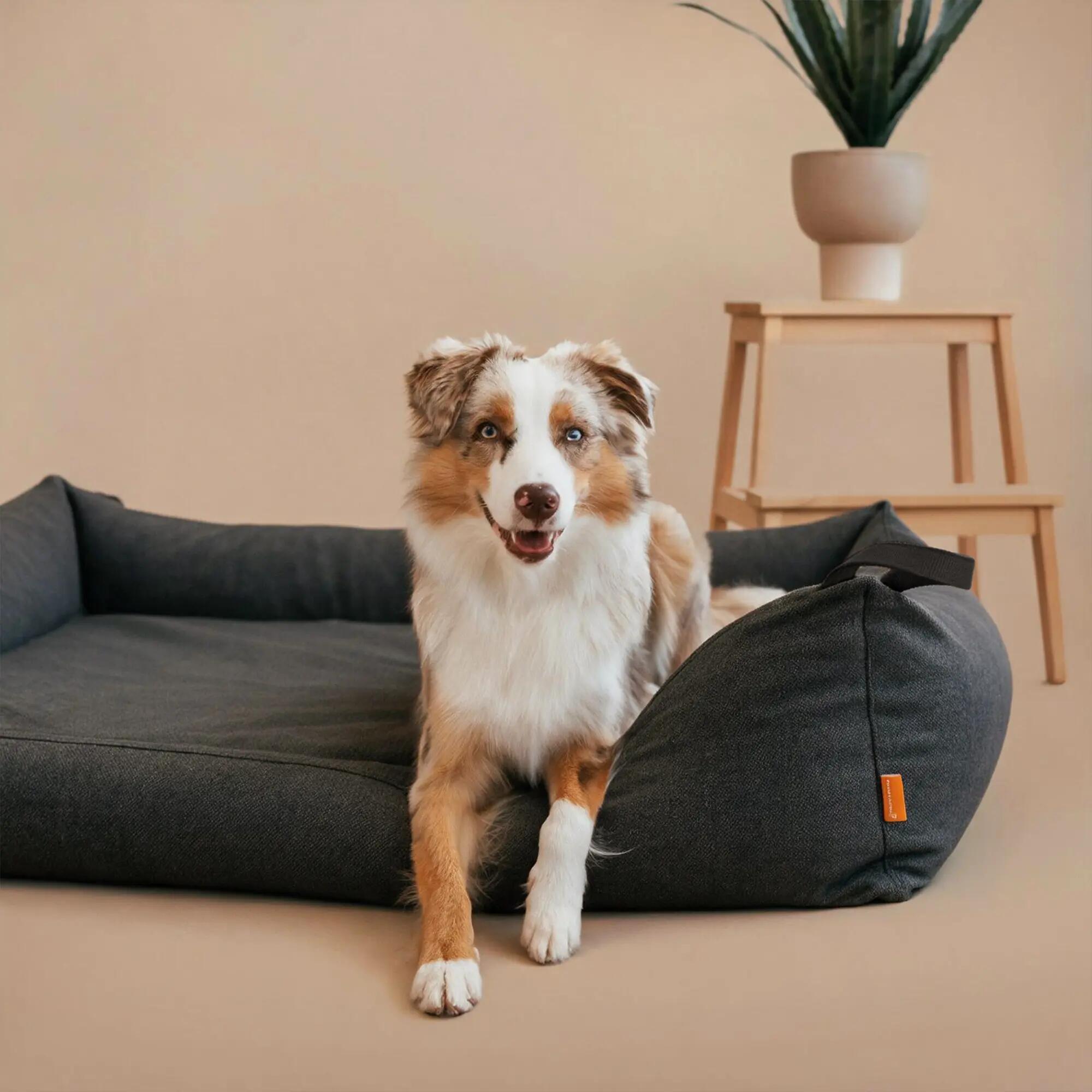 Letto Ortopedico per Cani – Memory Foam, Robusto e Sfoderabile 2/8