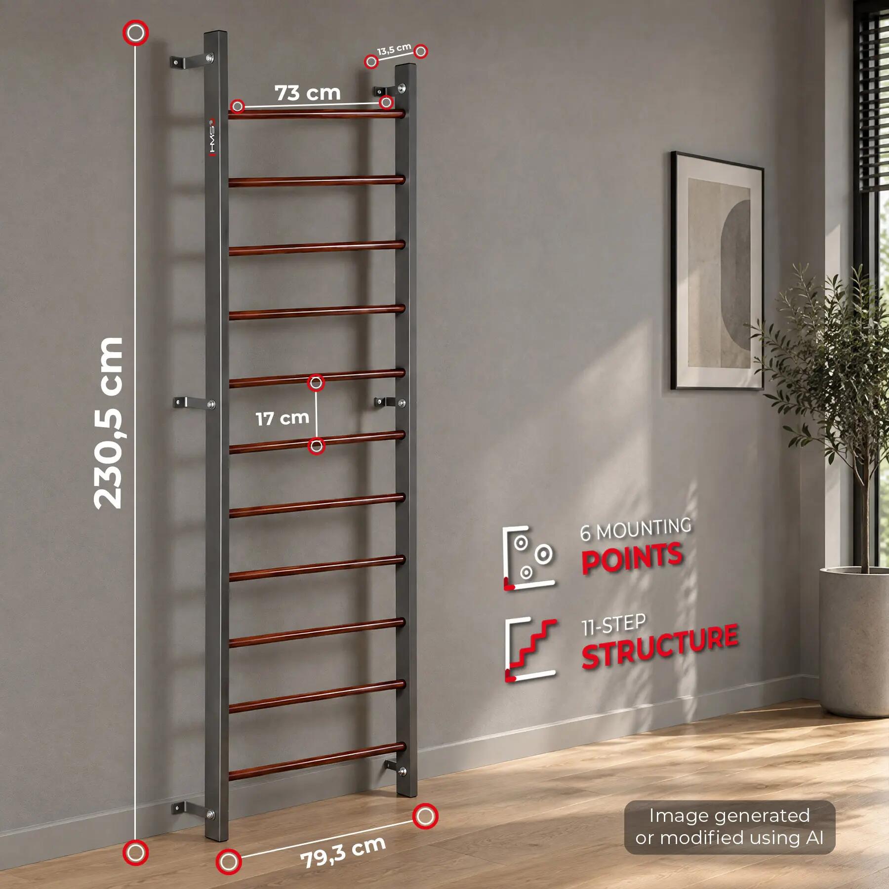 Échelle de gymnastique murale HMS DW6811 pour les exercices et les étirements 4/10