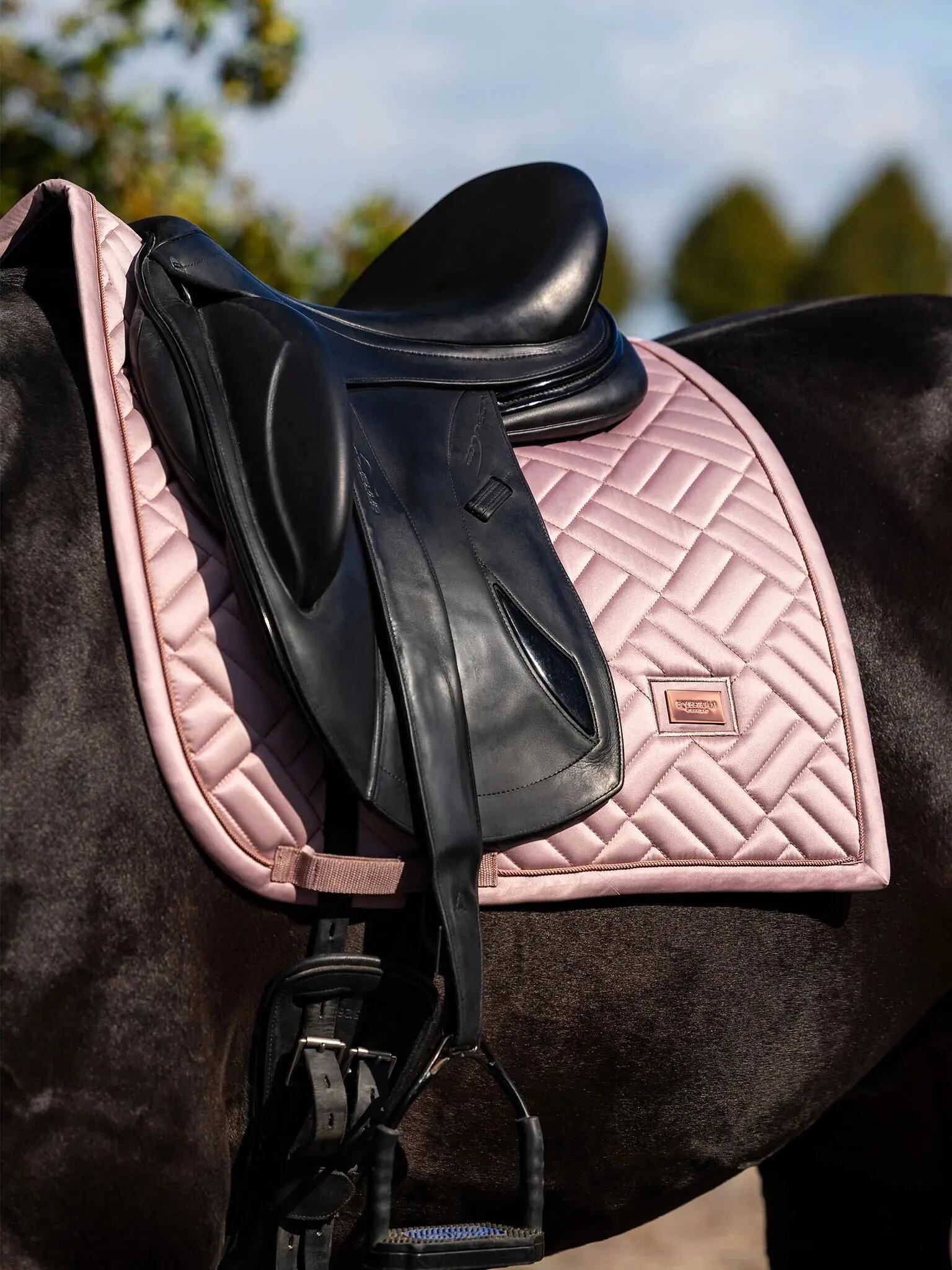 EQUESTRIAN STOCKHOLM picture