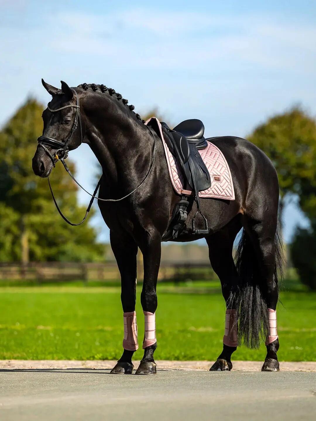 Tapis de selle Modern Midsummer Blush DRESSAGE - Equestrian Stockholm 2/5