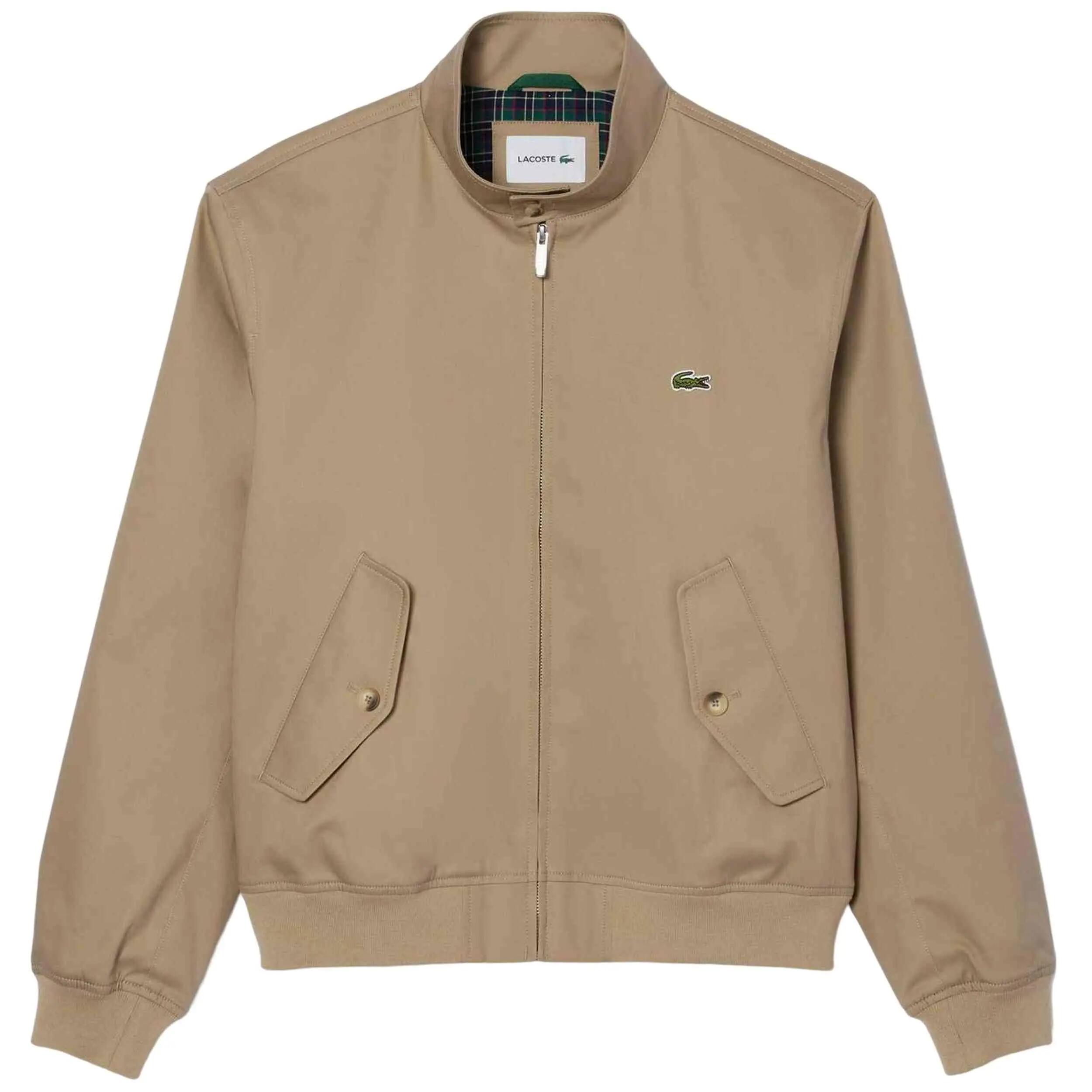 LACOSTE picture