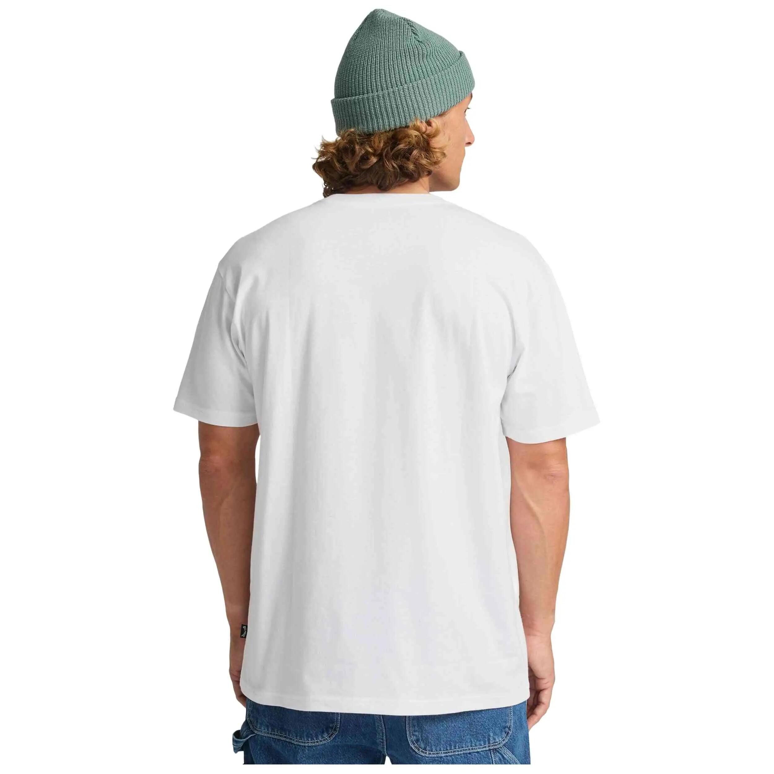T-shirt Billabong modèle Arch Frame pour homme 5/5