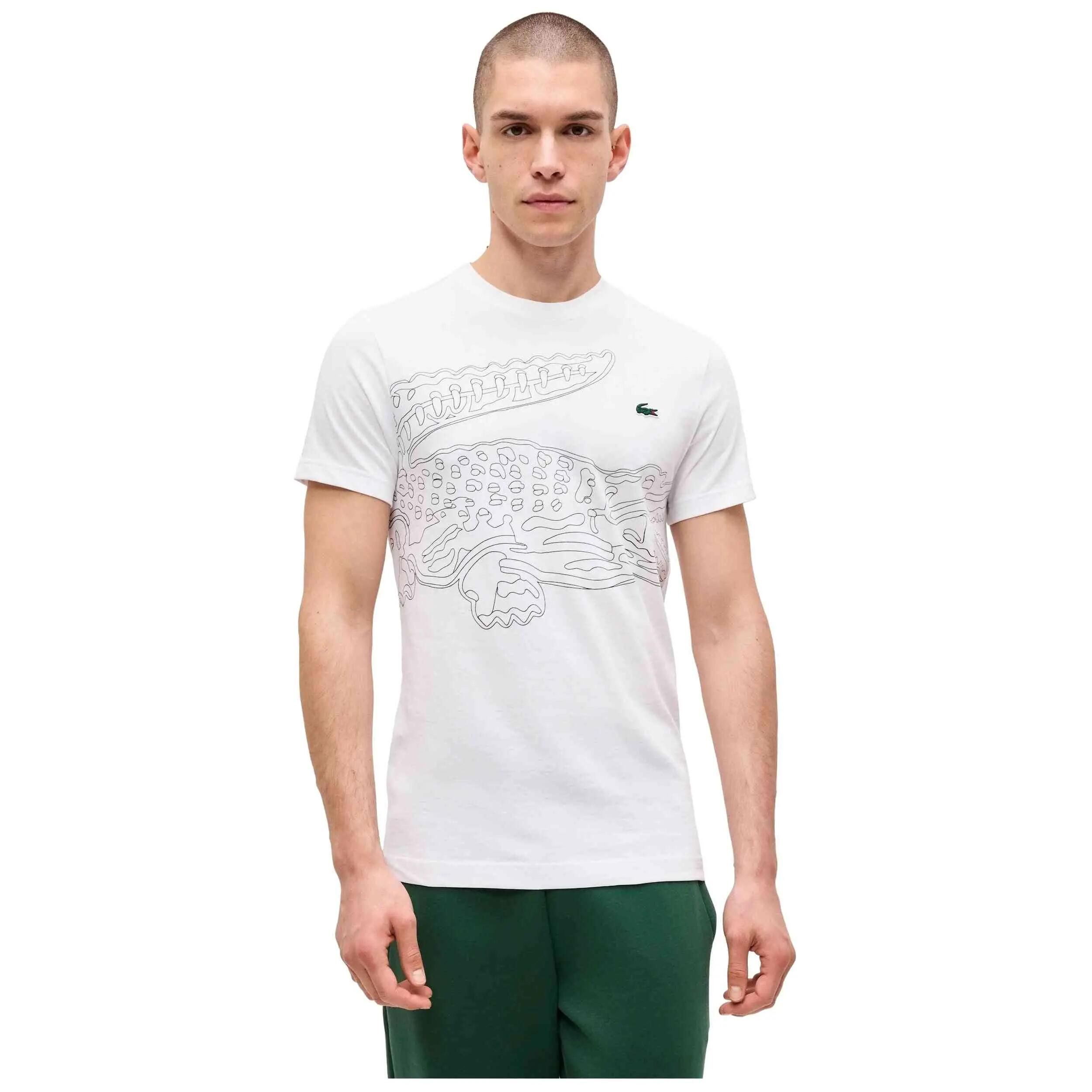 LACOSTE picture