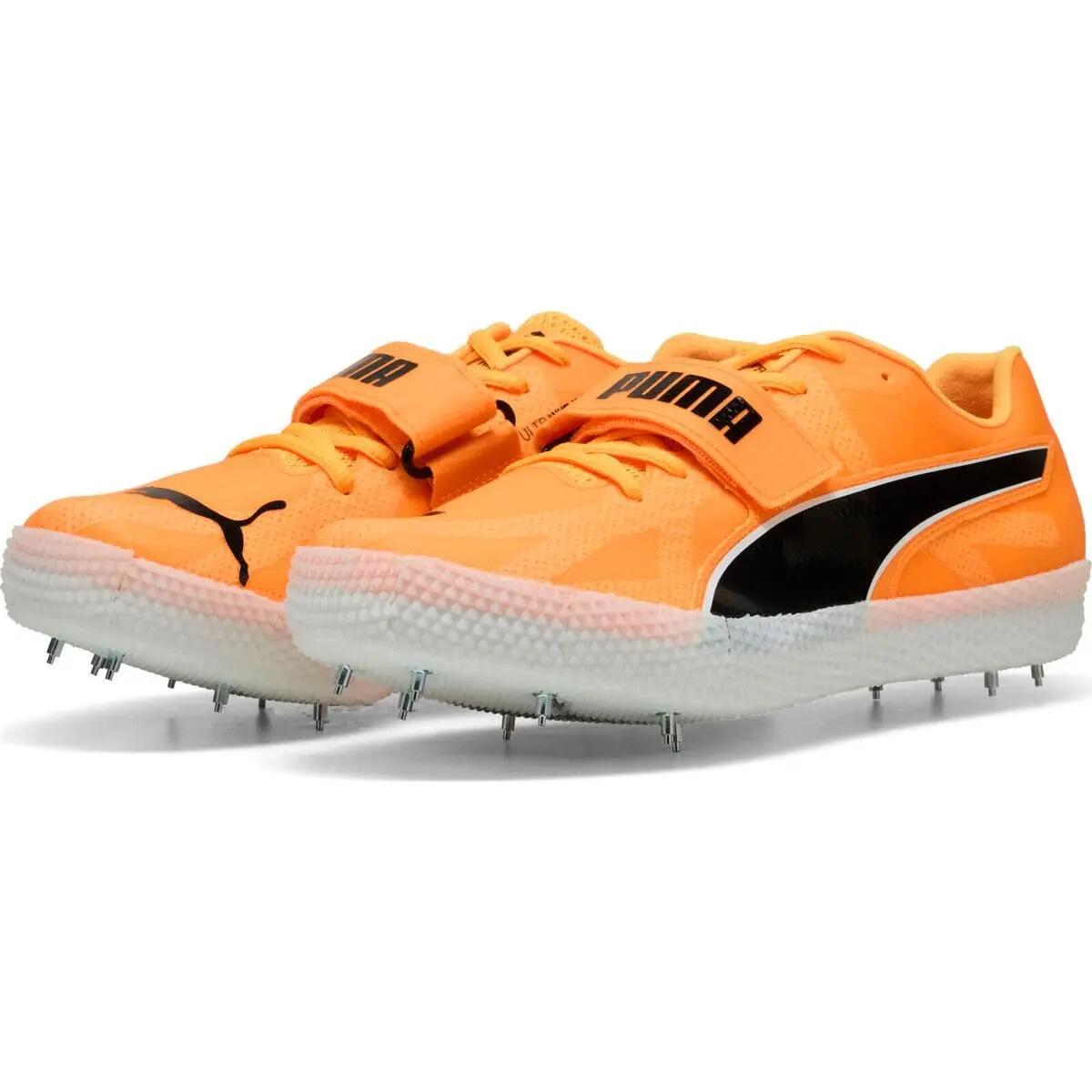 PUMA picture